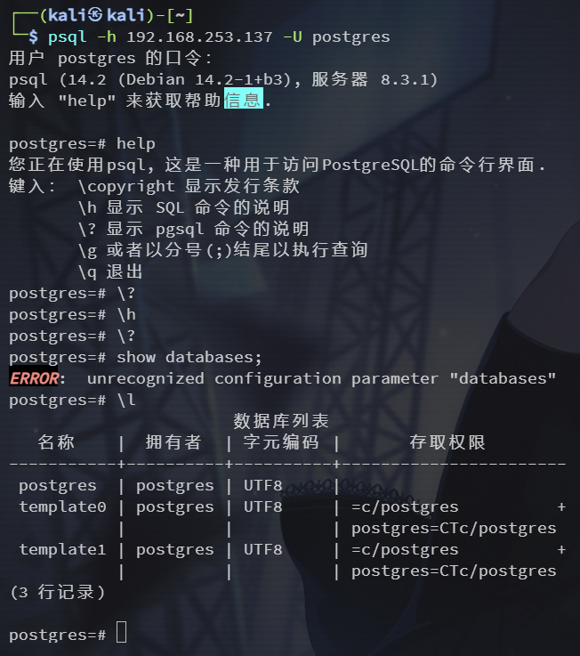 image-20250610131055395